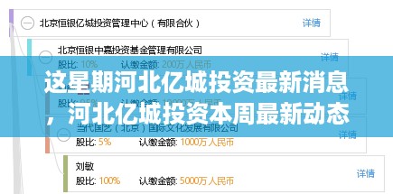 河北亿城投资最新动态，本周消息引领投资领域新篇章