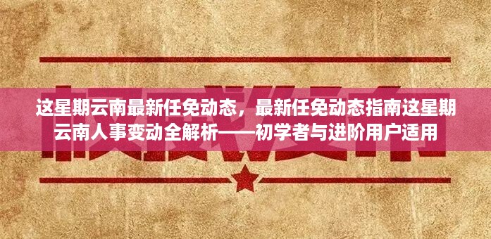 云南本周人事任免动态全解析，最新人事变动指南（初学者与进阶用户适用）