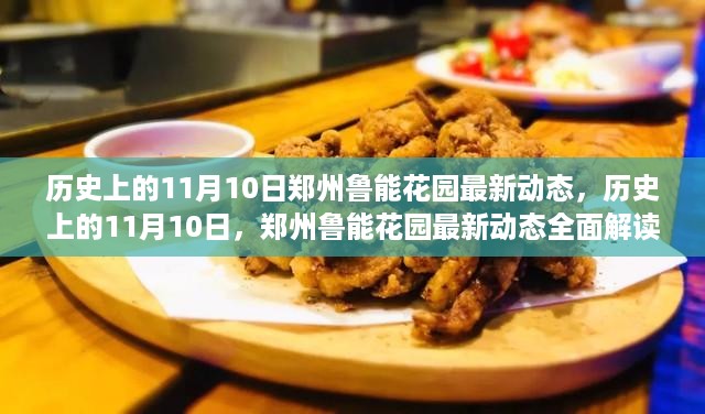 历史上的11月10日，郑州鲁能花园最新动态深度解析