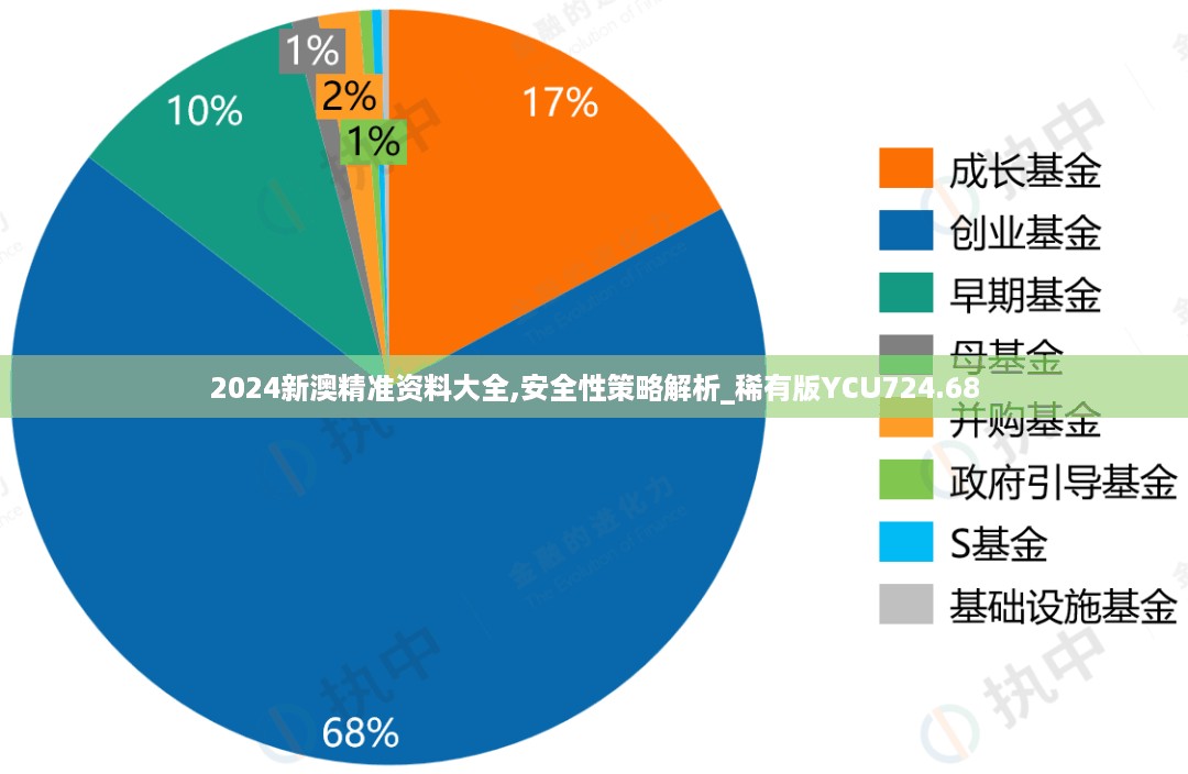 2024新澳精准资料大全,安全性策略解析_稀有版YCU724.68