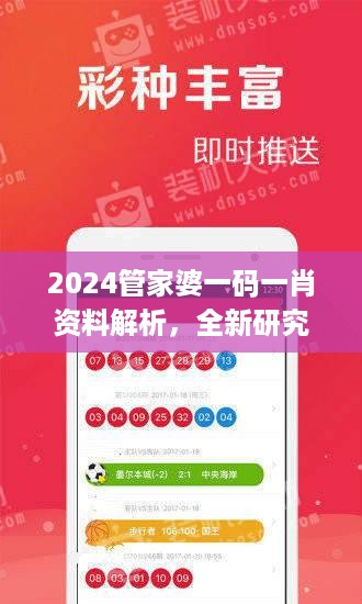 2024管家婆一码一肖资料解析，全新研究修订版FLY458.31