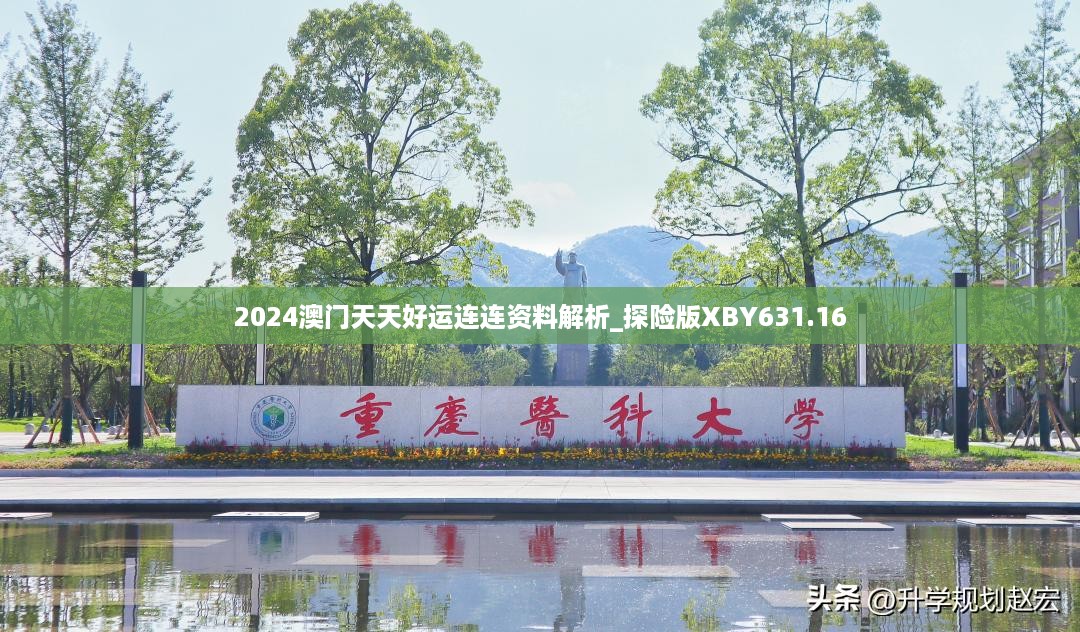 2024澳门天天好运连连资料解析_探险版XBY631.16