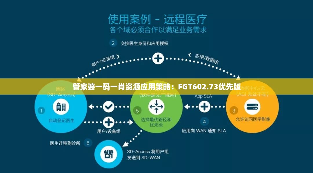 管家婆一码一肖资源应用策略：FGT602.73优先版