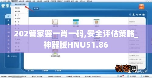 202管家婆一肖一码,安全评估策略_神器版HNU51.86