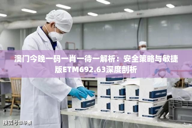 澳门今晚一码一肖一待一解析：安全策略与敏捷版ETM692.63深度剖析