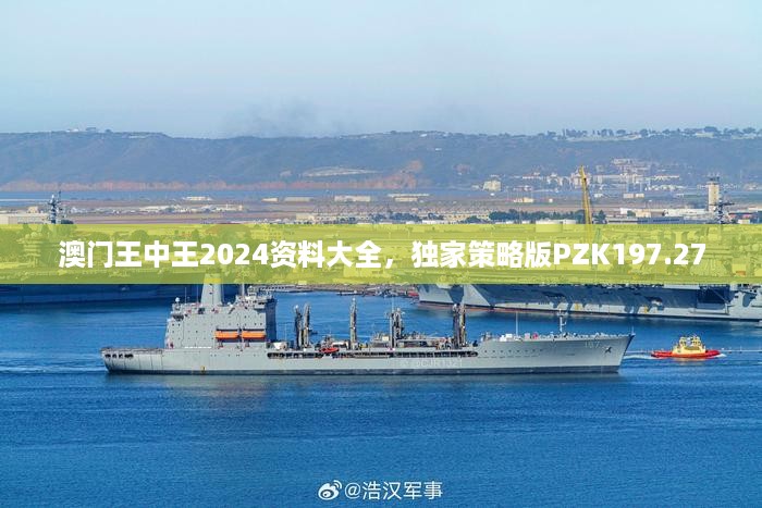 澳门王中王2024资料大全，独家策略版PZK197.27