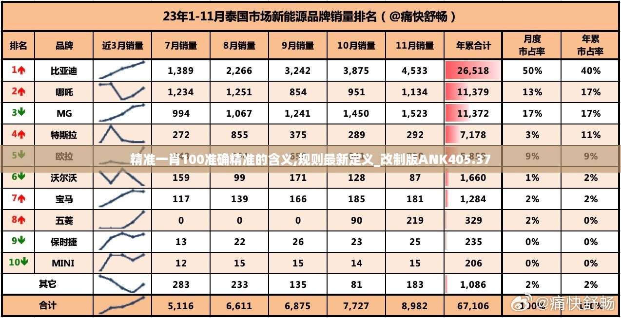 精准一肖100准确精准的含义,规则最新定义_改制版ANK405.37