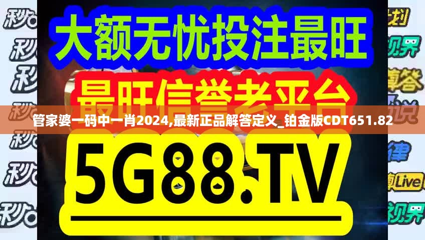 管家婆一码中一肖2024,最新正品解答定义_铂金版CDT651.82