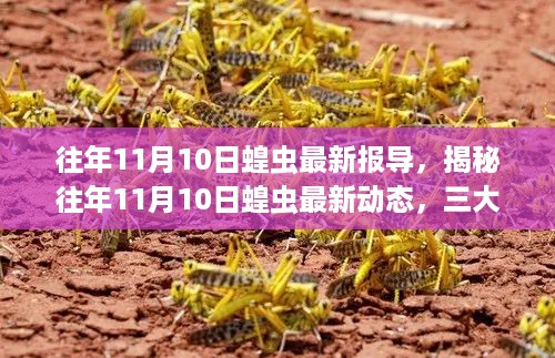 揭秘往年11月10日蝗虫最新动态，深度解析三大要点报告出炉