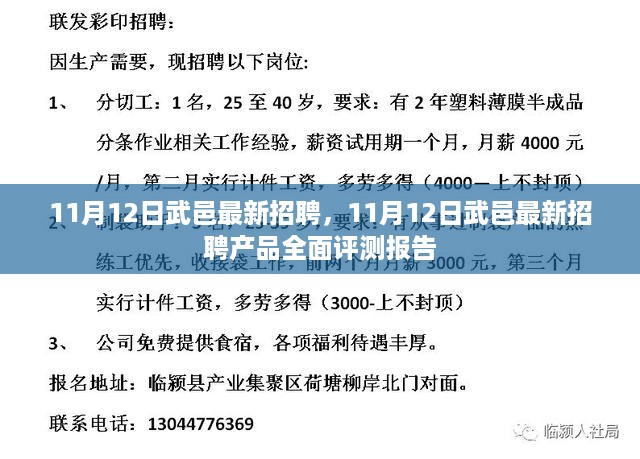 11月12日武邑最新招聘及招聘产品全面评测报告