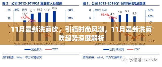 11月最新洗剪吹趋势引领时尚风潮，深度解析与潮流指南