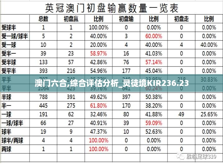 澳门六合,综合评估分析_灵徒境KIR236.23