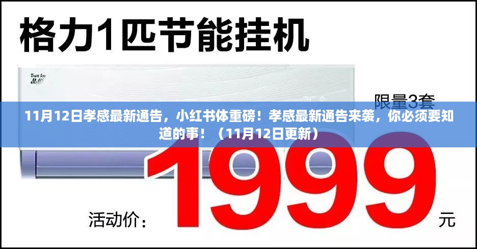 孝感最新通告更新，小红书体重磅消息，你必须关注的11月12日更新资讯