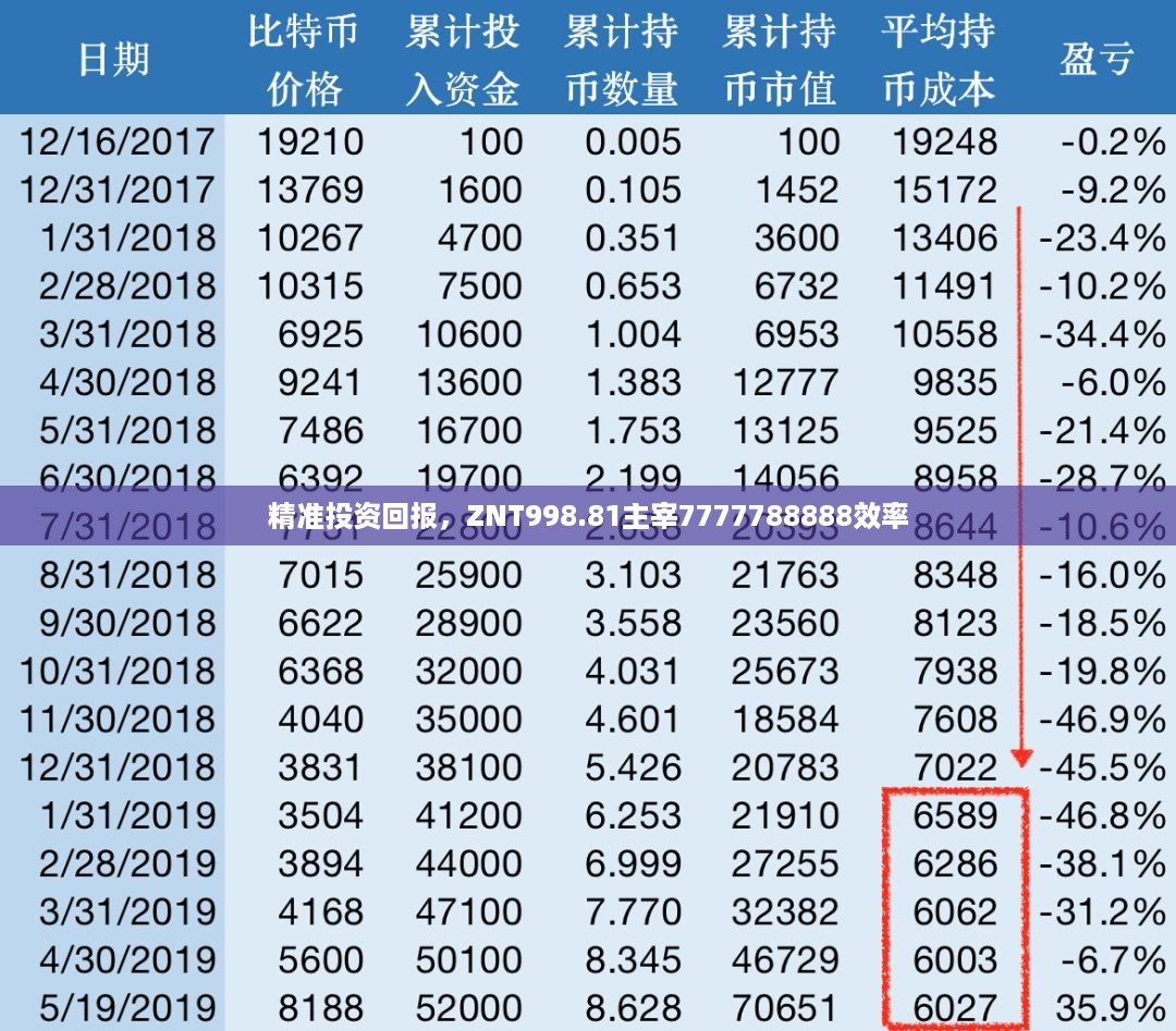 精准投资回报，ZNT998.81主宰7777788888效率