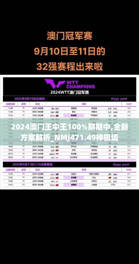 2024澳门王中王100%期期中,全新方案解析_NMJ471.49神极境