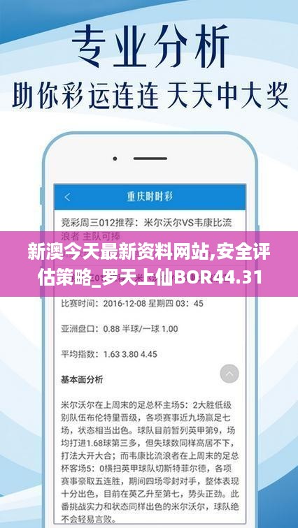 新澳今天最新资料网站,安全评估策略_罗天上仙BOR44.31