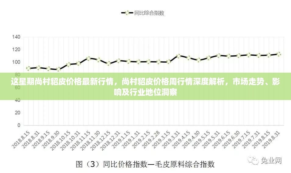 尚村貂皮价格周行情深度解析，市场走势、影响及行业洞察