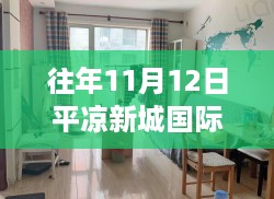 平凉新城国际往年11月12日最新消息综述，产品特性、用户体验与目标用户分析报告