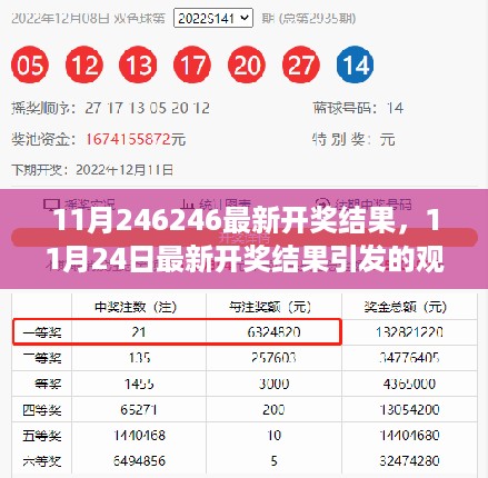 11月24日开奖结果引发的观点碰撞，运气与策略之争