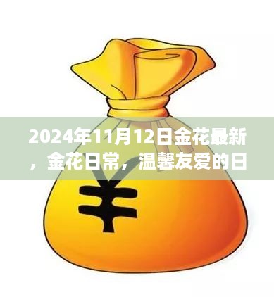 金花日常，温馨友爱的日子记录（2024年11月12日）