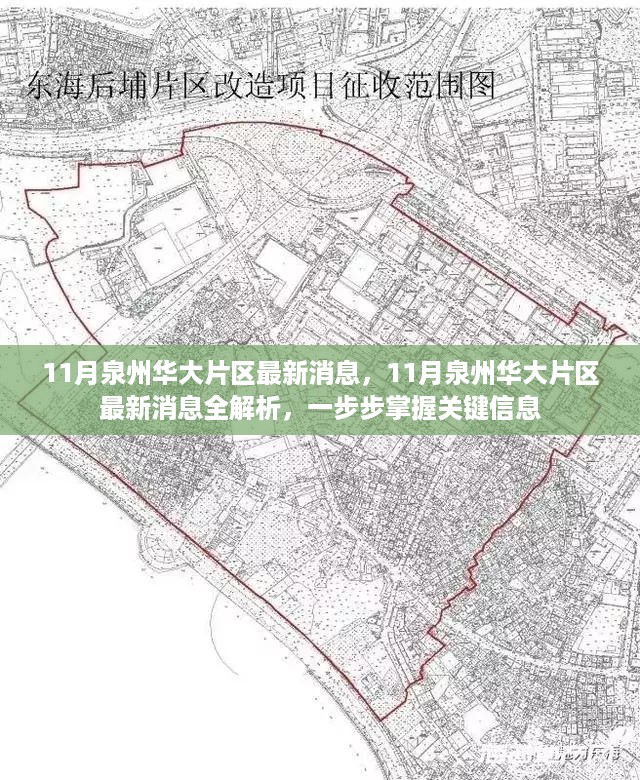 11月泉州华大片区最新消息全解析，掌握关键信息一步步