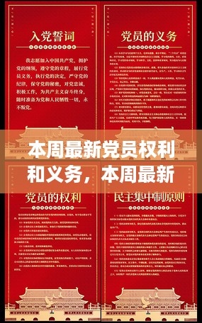 本周党员权利和义务详解，特性、体验、竞品对比及用户群体全面剖析