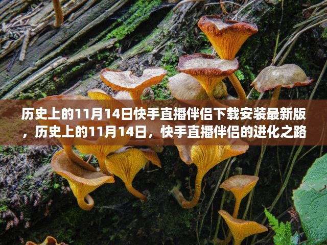 历史上的11月14日，快手直播伴侣的进化之路与最新版下载指南