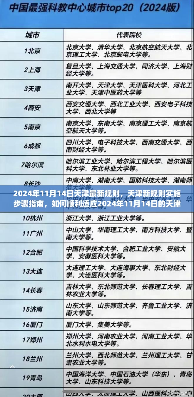 天津新规定实施指南，如何顺利适应2024年11月14日的新规则（初学者与进阶用户指南）