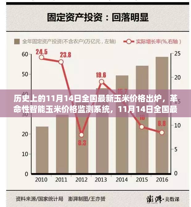 革命性智能玉米价格监测系统发布，11月14日全国最新玉米价格一览