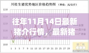 往年11月14日猪市行情解析，最新猪价指南与养猪业发展趋势洞察