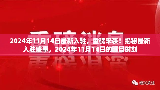 揭秘重磅入驻盛事，2024年11月14日的瞩目时刻