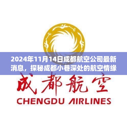 探秘成都航空新纪元，航空情缘与隐秘美食之旅（2024年最新消息）