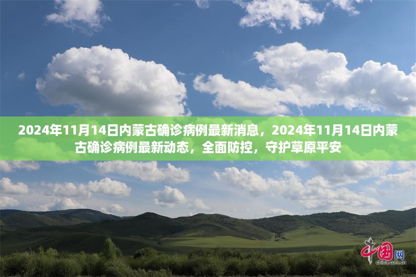 2024年11月14日内蒙古确诊病例最新动态，全面防控，守护草原平安