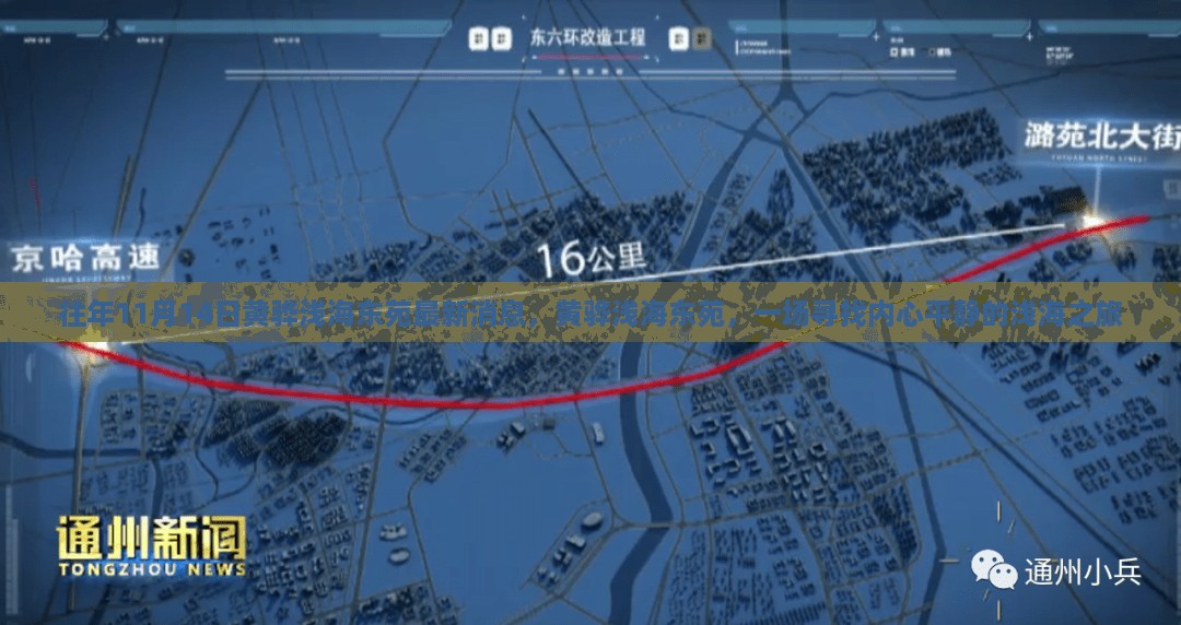 黄骅浅海东苑，寻找内心平静的浅海之旅——最新消息播报
