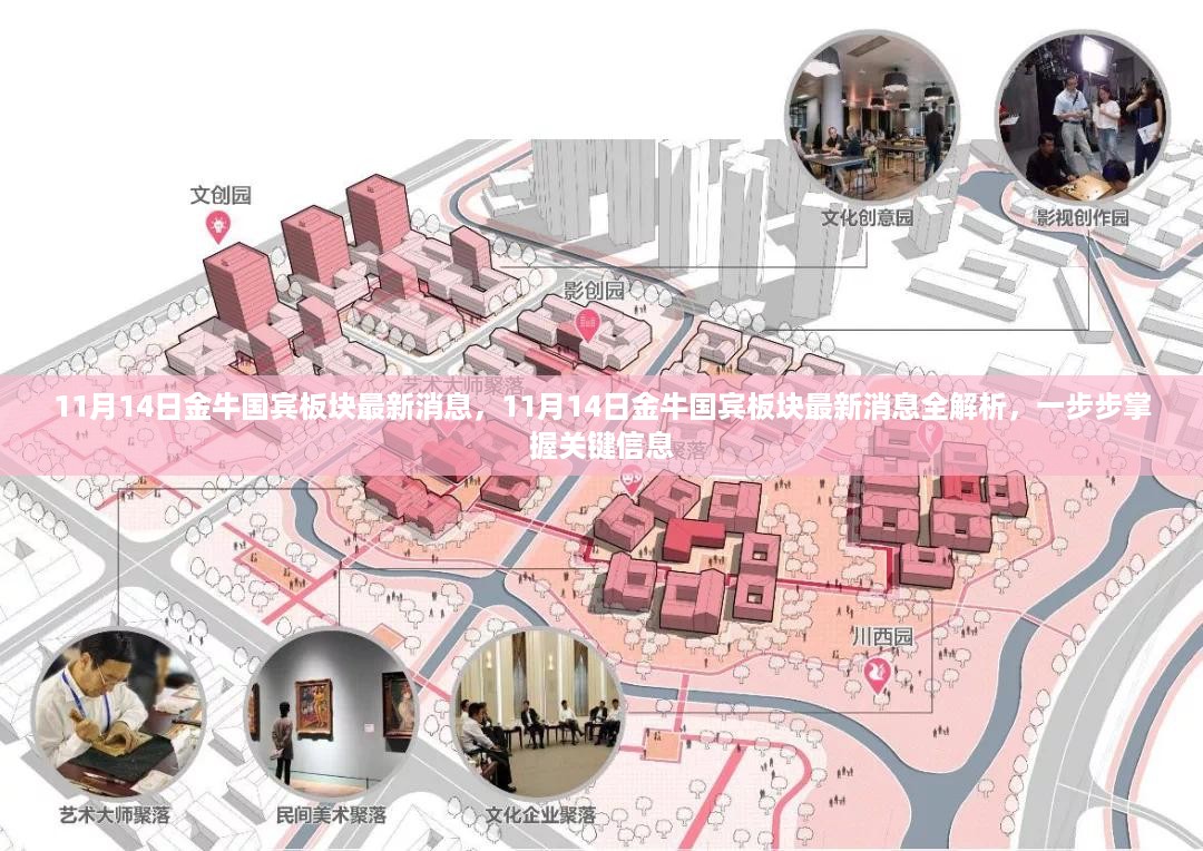 金牛国宾板块最新消息全解析，掌握关键信息的步骤