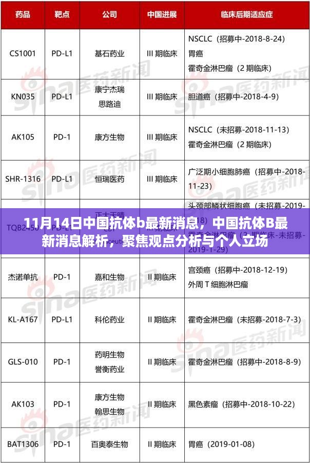 中国抗体B最新消息解析与观点聚焦，11月14日更新及我的立场