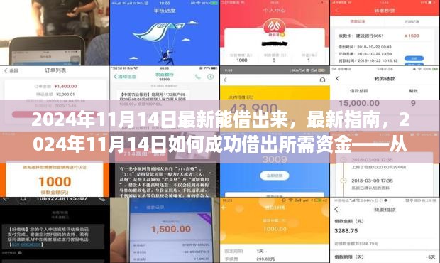 最新指南，2024年11月14日如何成功借出所需资金——从初学者到进阶用户的详细步骤