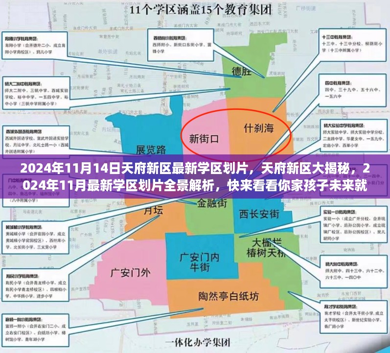 天府新区最新学区划片全景解析，揭秘孩子未来就读学校！