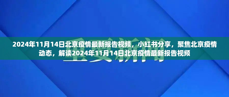 聚焦北京疫情动态，解读最新报告视频，小红书分享疫情最新进展