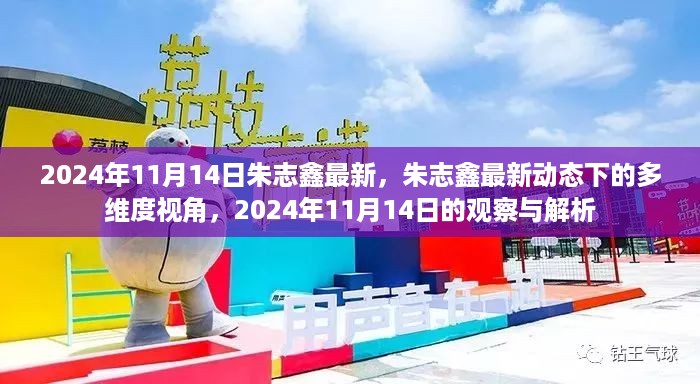 朱志鑫最新动态，多维视角下的观察与解析（2024年11月14日）