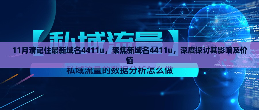 聚焦新域名4411u，深度探讨其影响与价值