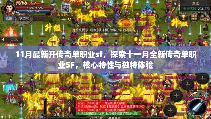 11月全新传奇单职业SF，核心特性与独特体验深度探索