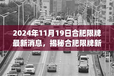 揭秘合肥限牌新动态，最新消息及应对准备