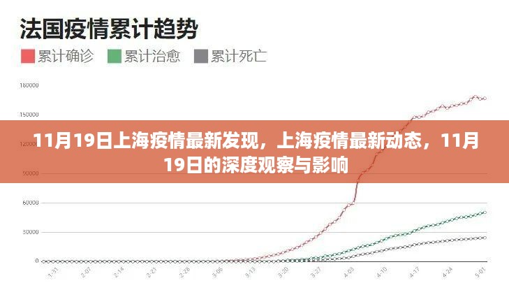 11月19日上海疫情最新动态与深度观察，影响及应对