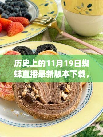 历史上的11月19日蝴蝶直播最新版本下载全攻略，重磅更新与实用指南