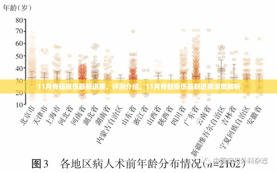 11月脊髓损伤最新进展深度解析与评测介绍