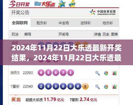 2024年11月22日大乐透最新开奖结果及查询参与指南（全用户适用）