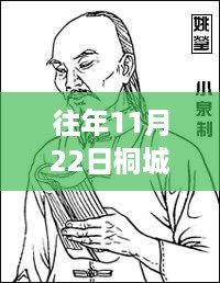 历年11月22日桐城市深度新闻解析与个人观点阐述