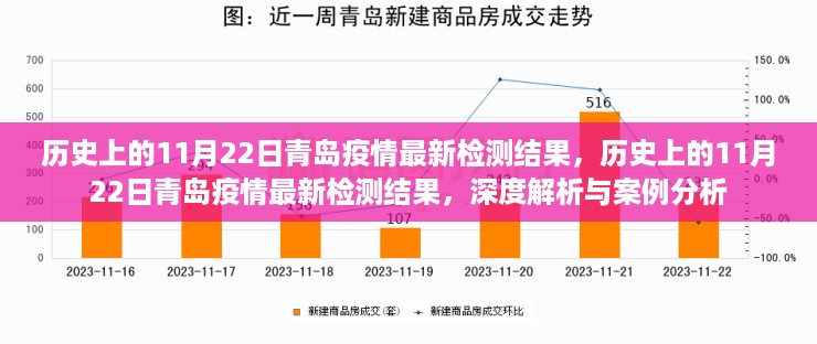 历史上的11月22日青岛疫情深度解析与最新检测结果案例分析