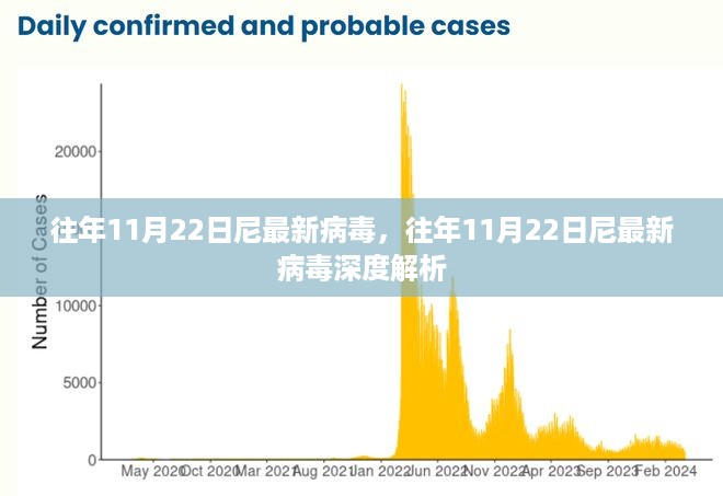 往年11月22日尼最新病毒深度解析与探讨